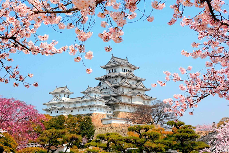 Япония: Групповой, бюджетный тур - Прелести Японии Март